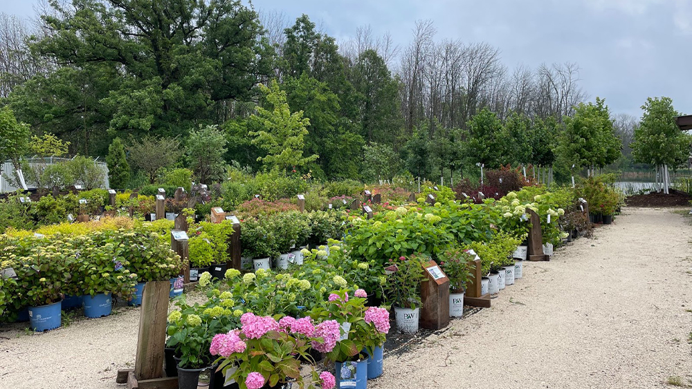 Scotty Landscape Supply, Hardscape Solutions, Sheboygan, WI